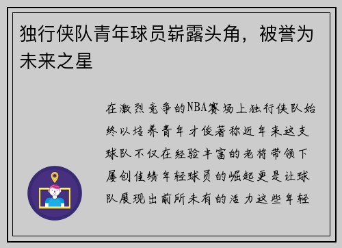 独行侠队青年球员崭露头角，被誉为未来之星